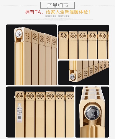 十大名牌91看片免费APP