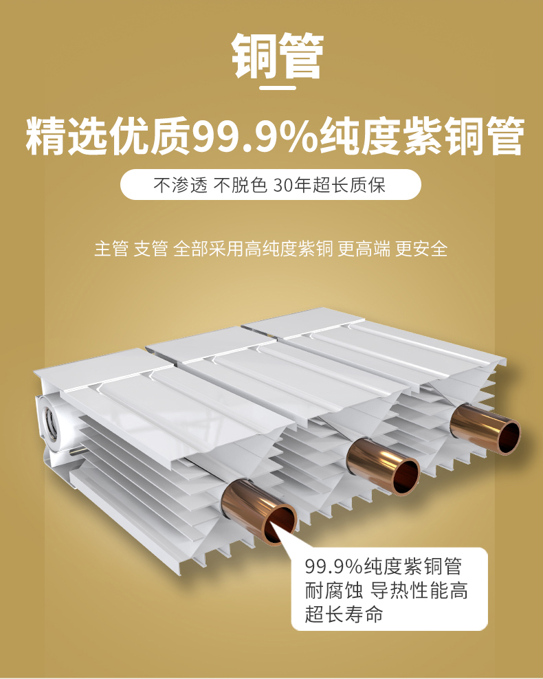 91看片免费APP十大排名